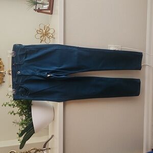 AG Adriano Goldschmied The Stilt Cigarette Leg